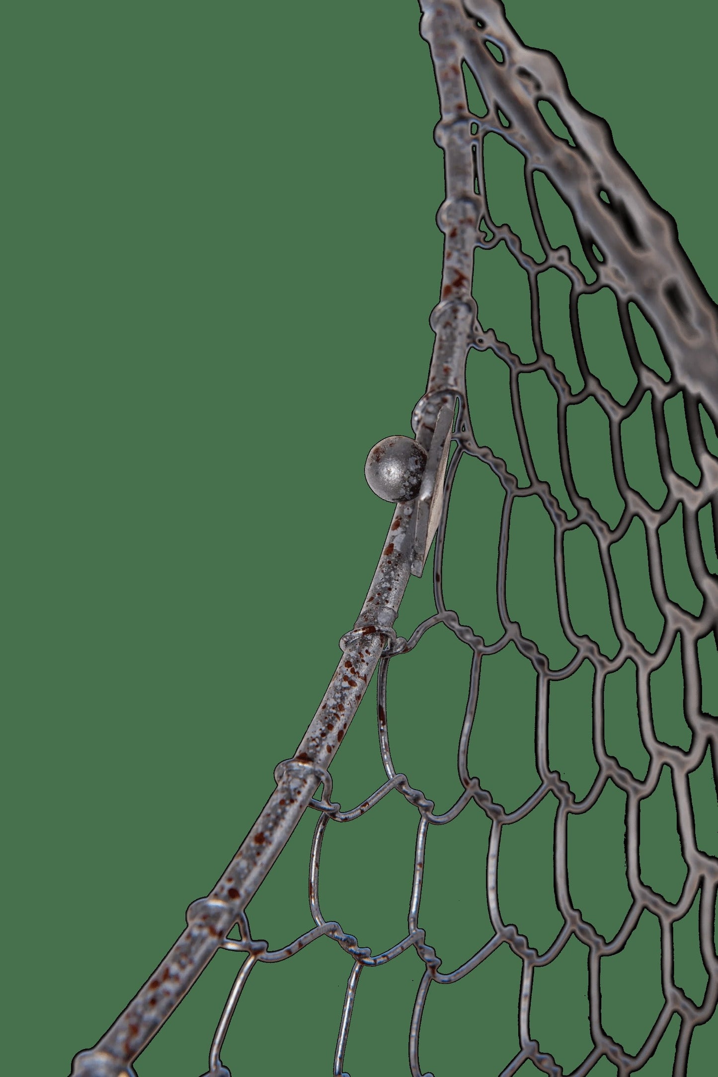 Chicken Wire Cloche with Extension