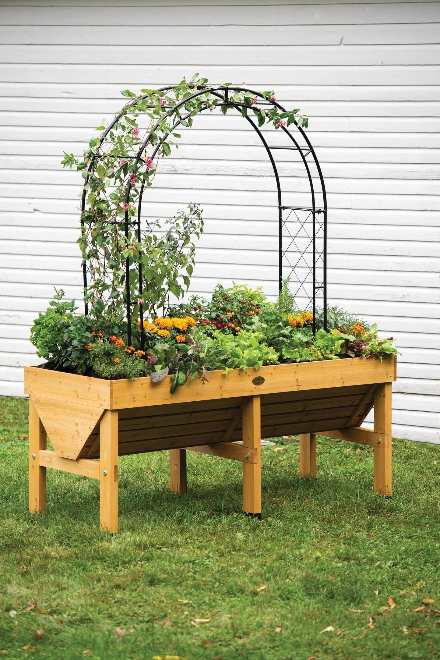Metal Climbing Arch for VegTrug® Patio Garden Bed