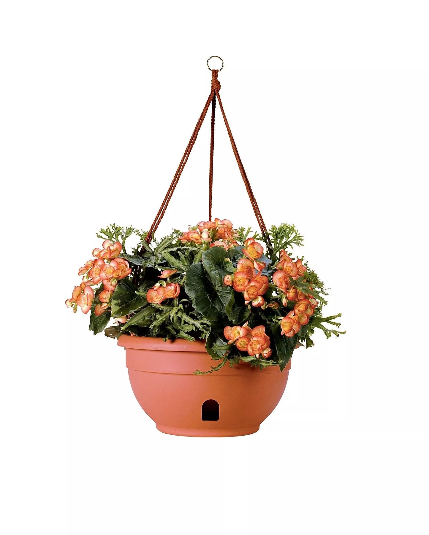 Self-Watering Hanging Basket