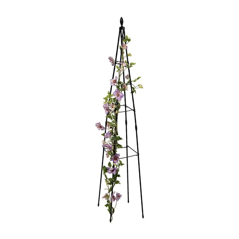 TitanTM Pyramid Trellis