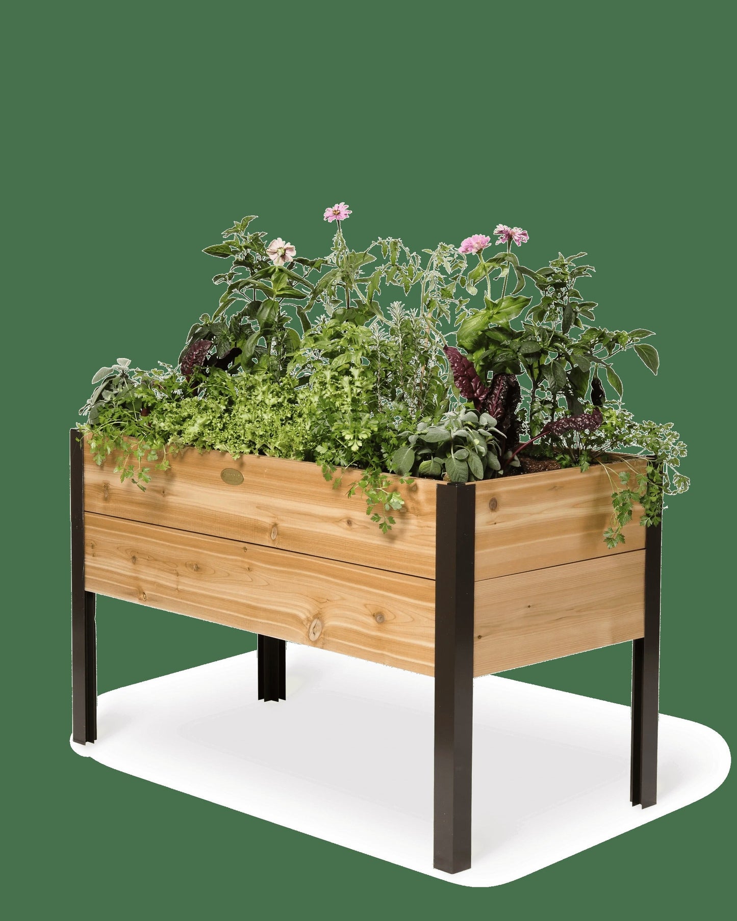 Elevated Cedar Planter Box, 2' x 4'