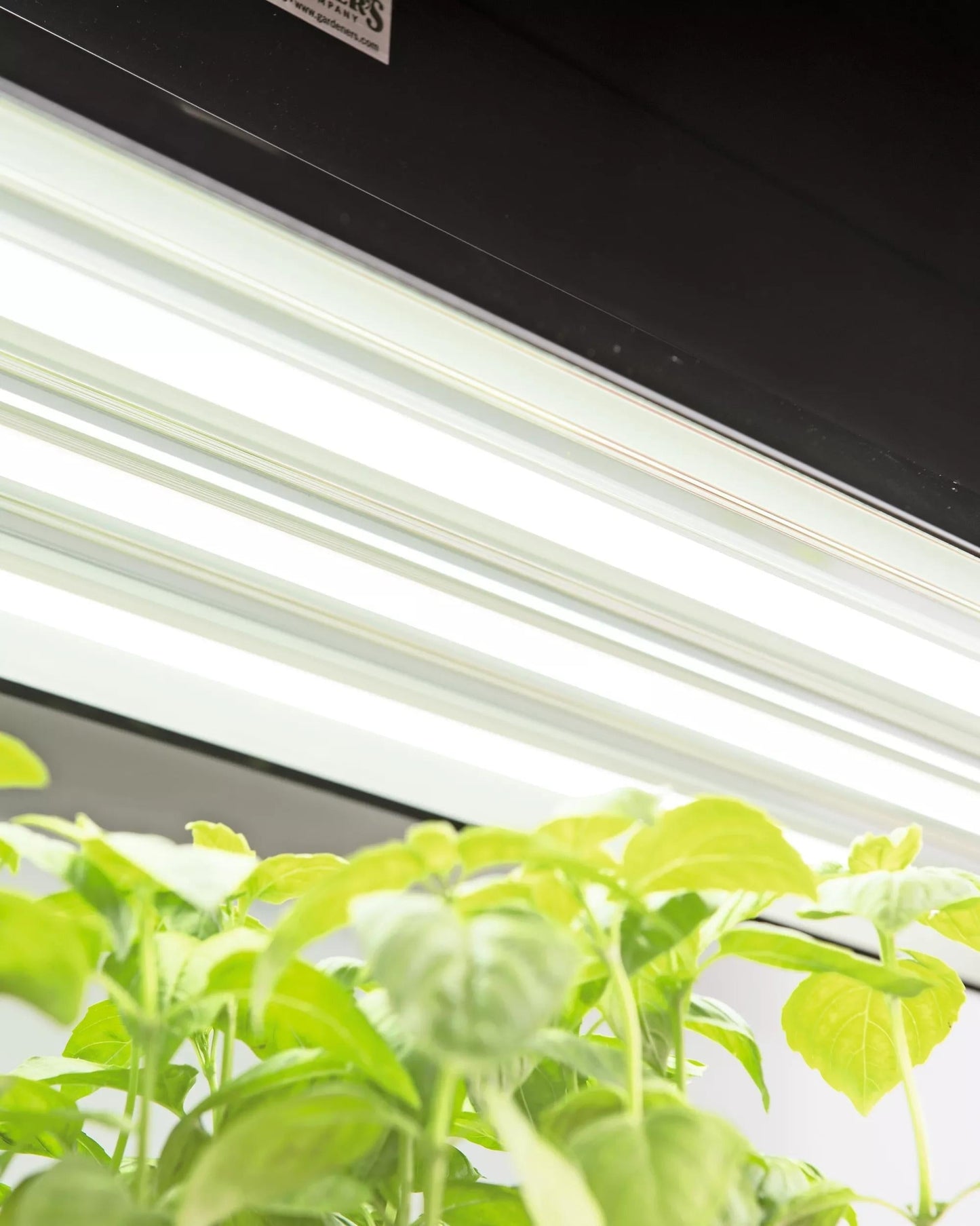 LED SunLite® High Intensity Fixture