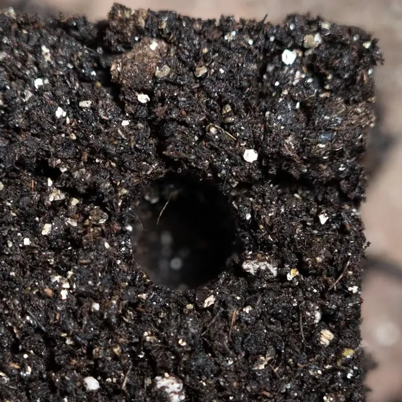 Soil Blocker 8 CELL