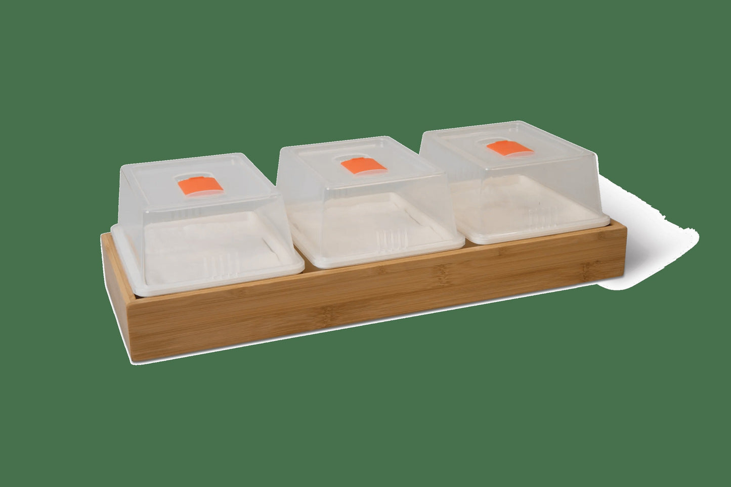 Bamboo Microgreen Growing Tray