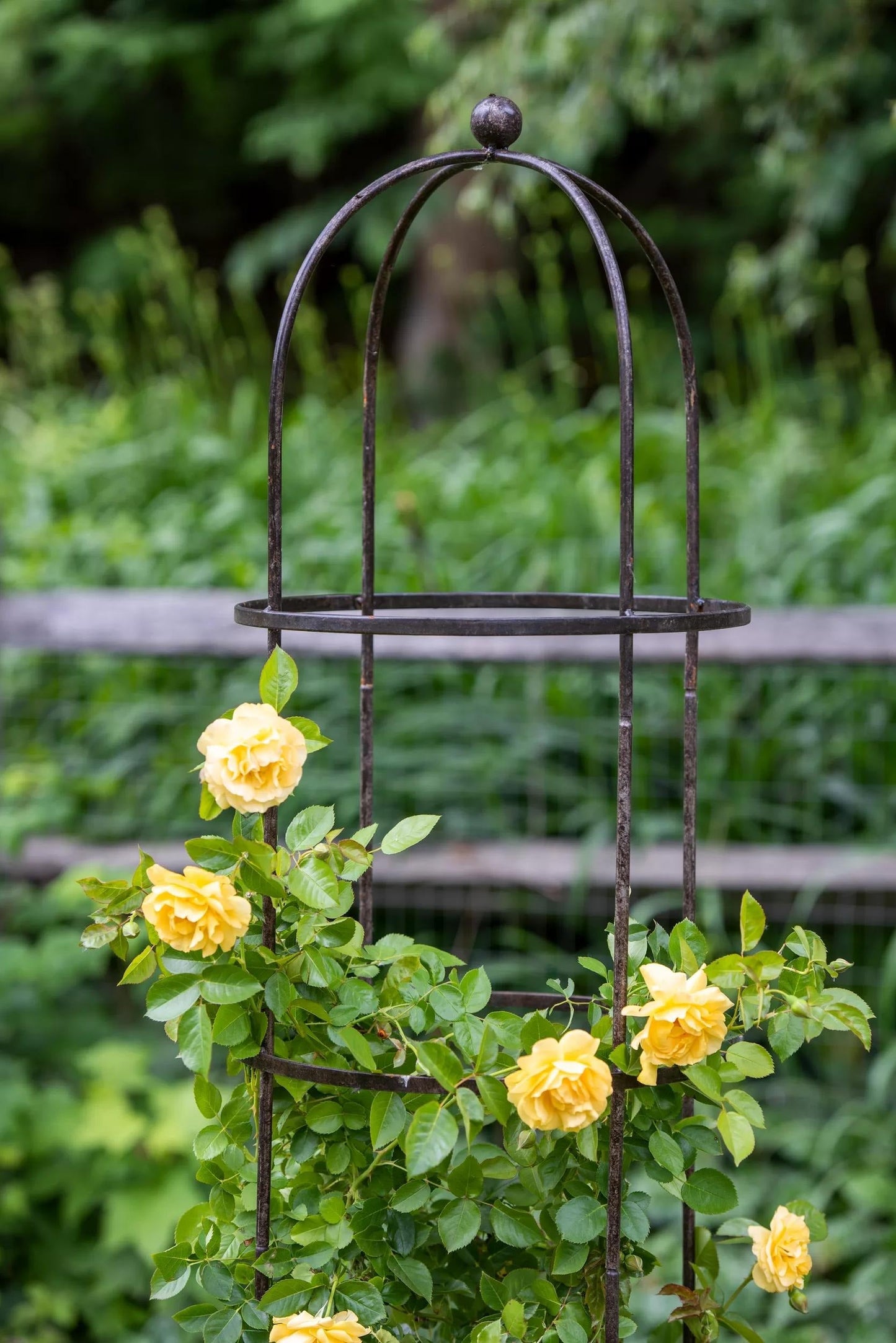 JardinTM Round Obelisk, 7'