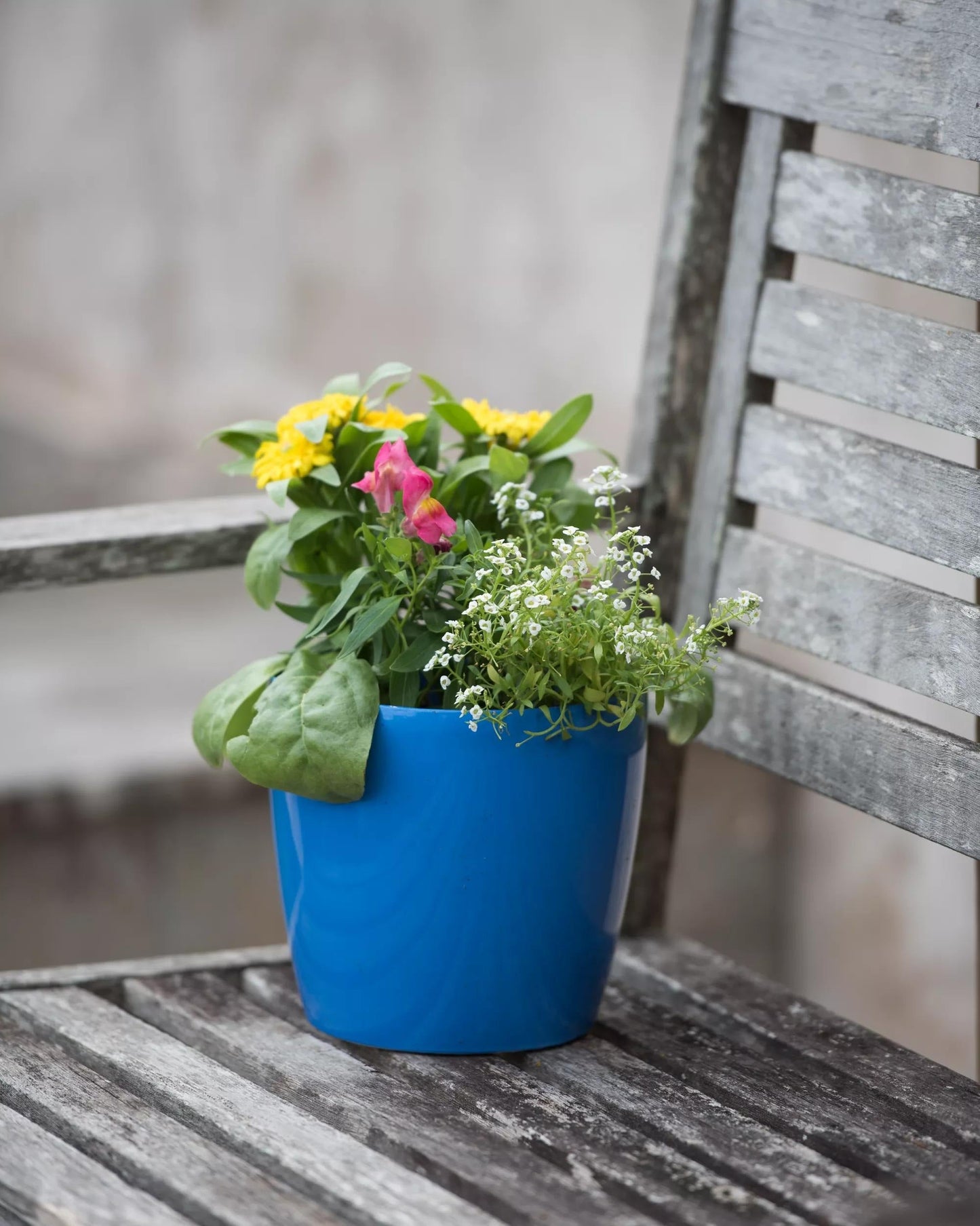 VivaTM Round Self-Watering Planter, 7" Diameter