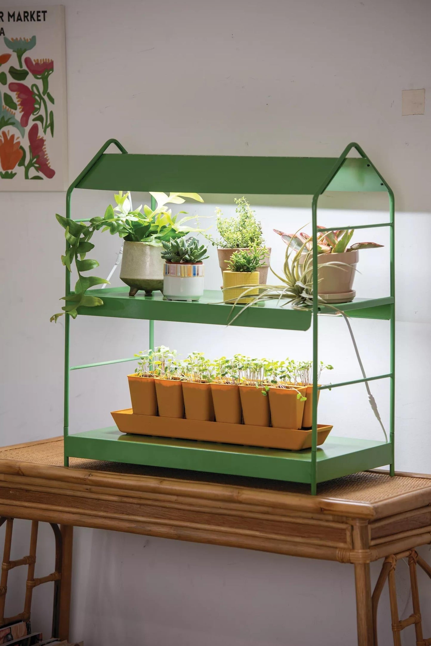AgieTM Tabletop LED Light Garden