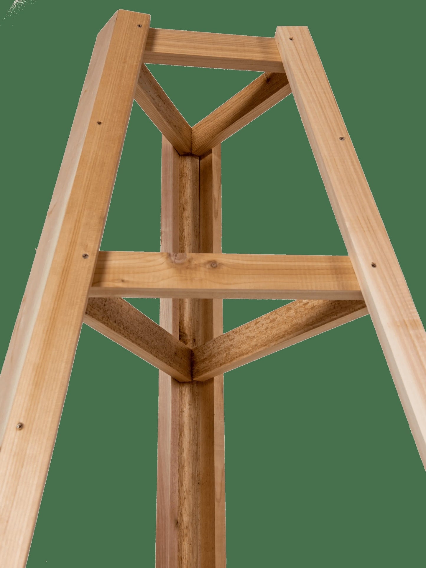 Cedar Obelisk, 8'