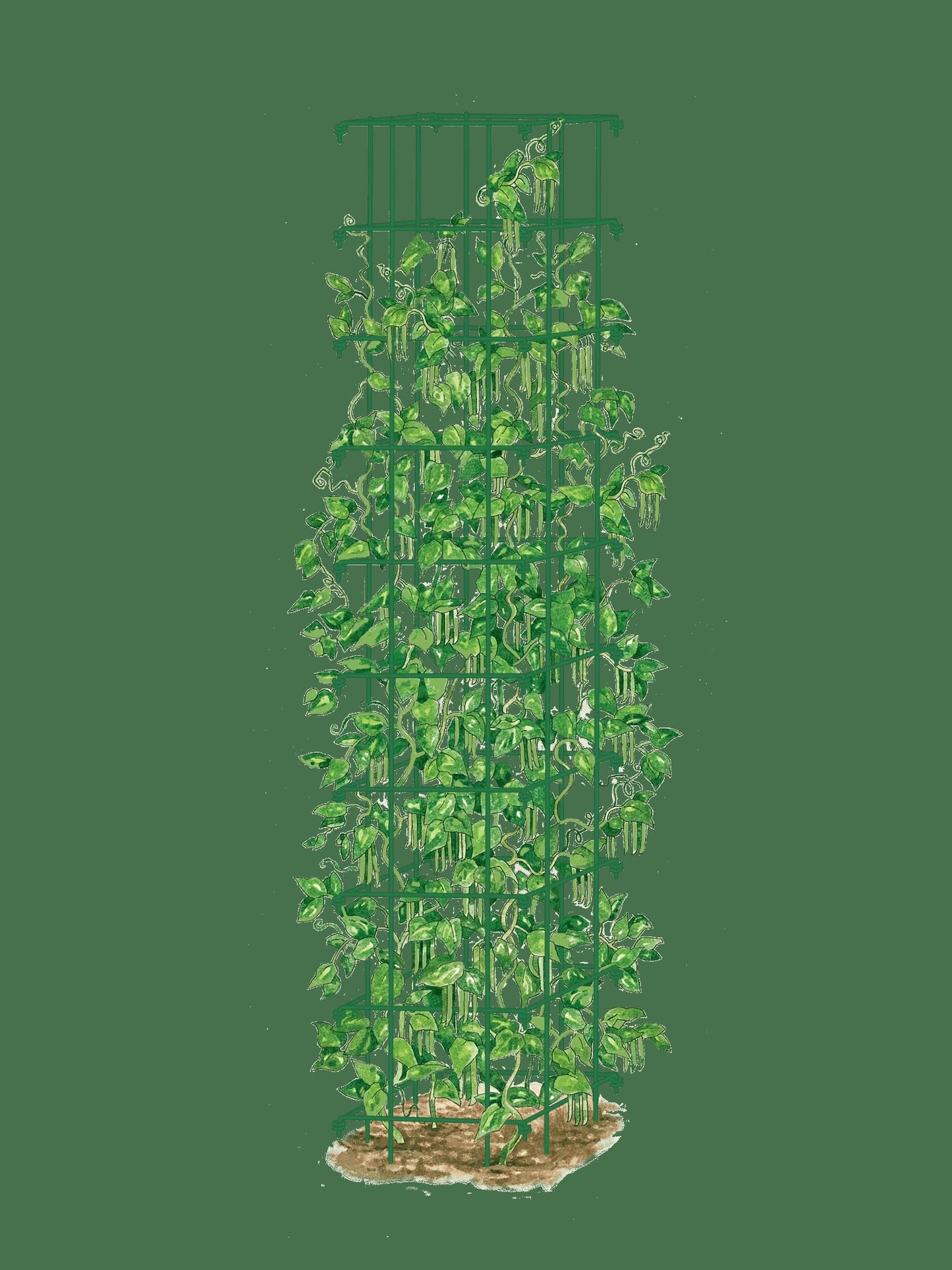 Bean Tower