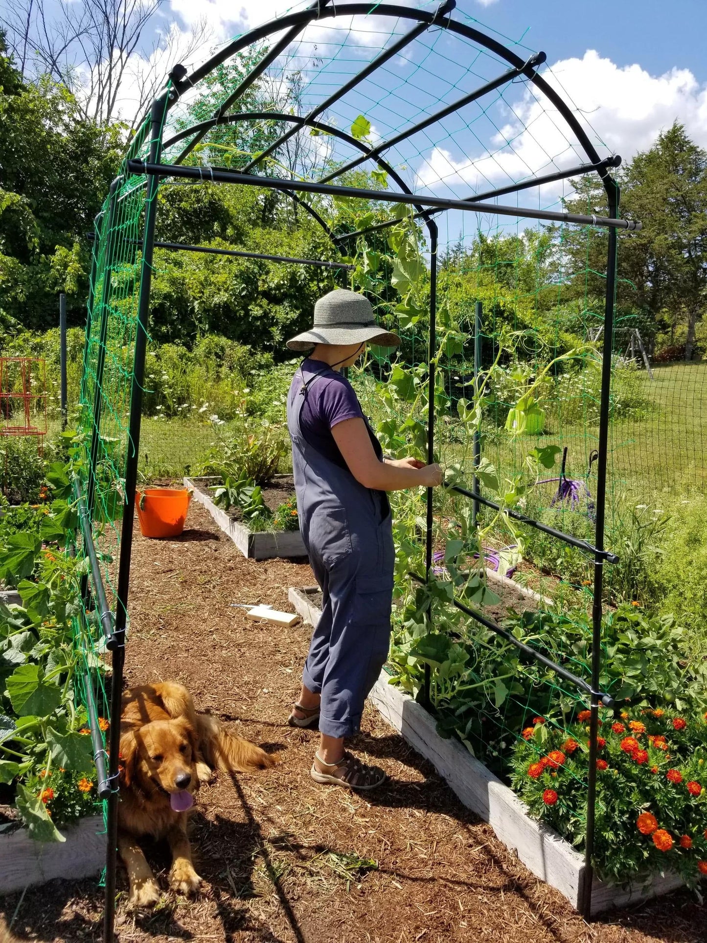TitanTM Squash Tunnel