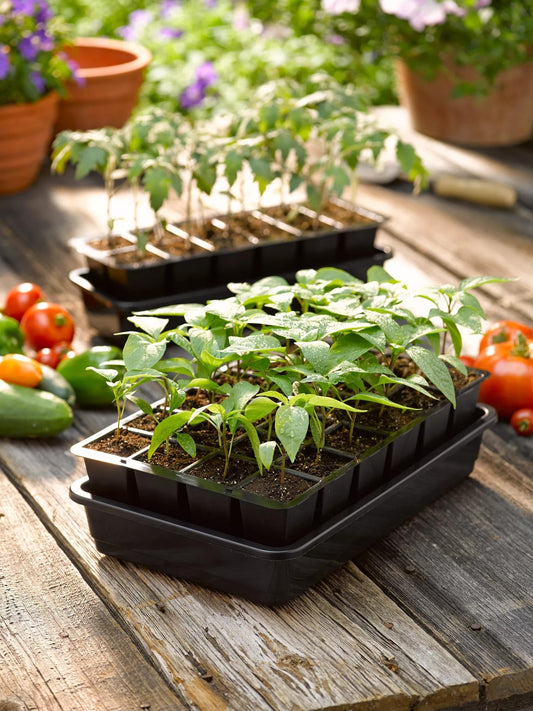 GrowEaseTM Seed Starter Kit