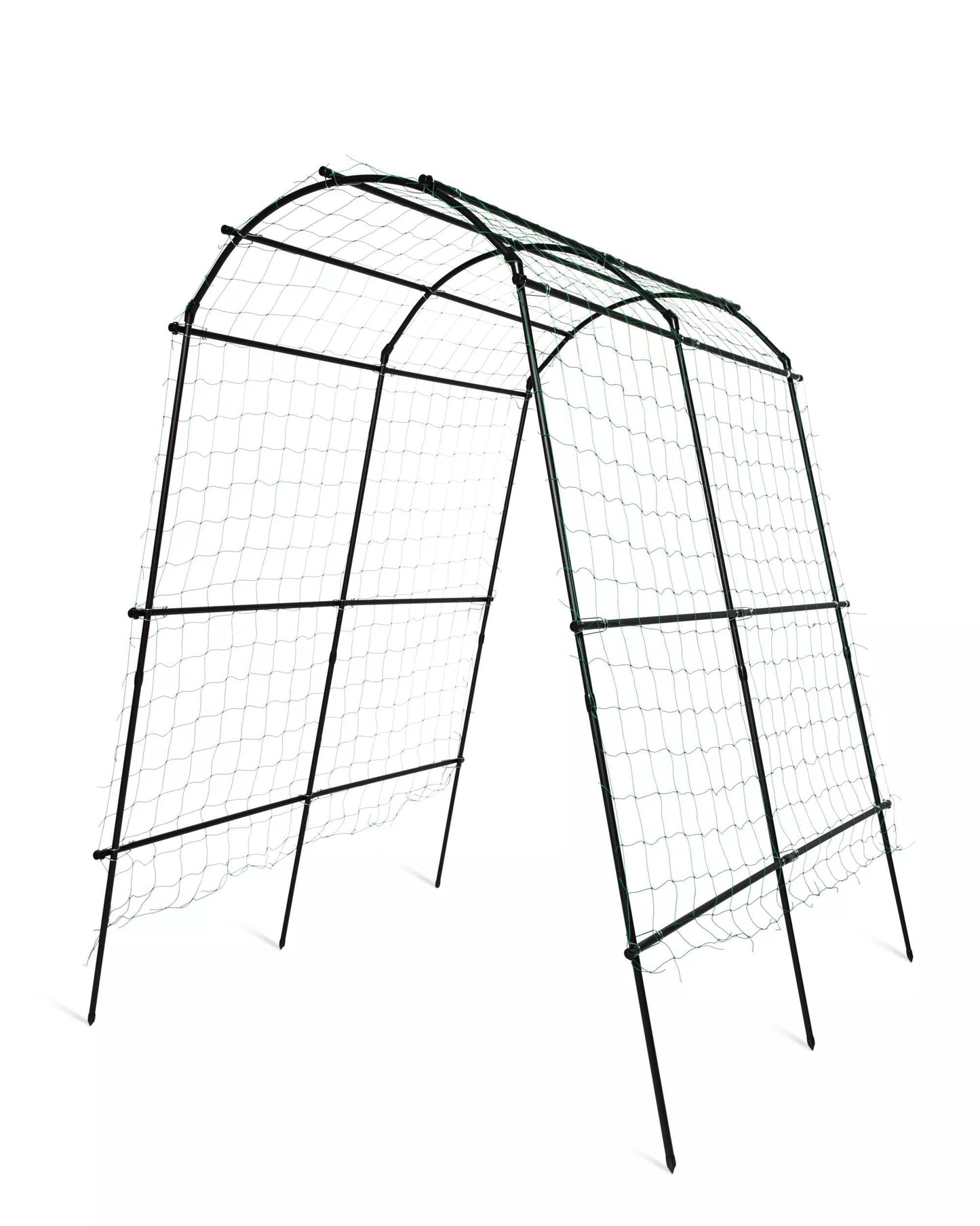 TitanTM Squash Tunnel