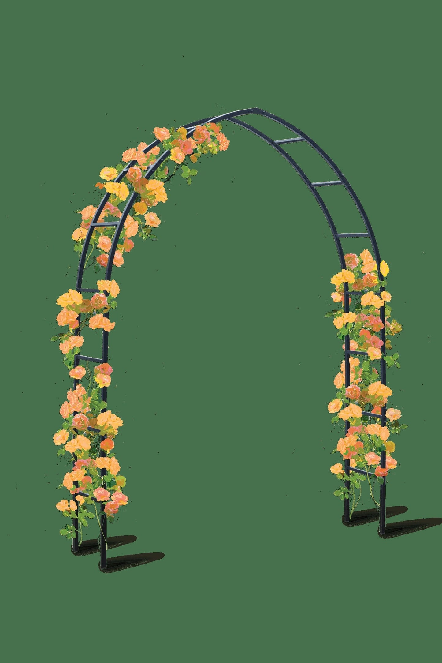 Gothic Arch