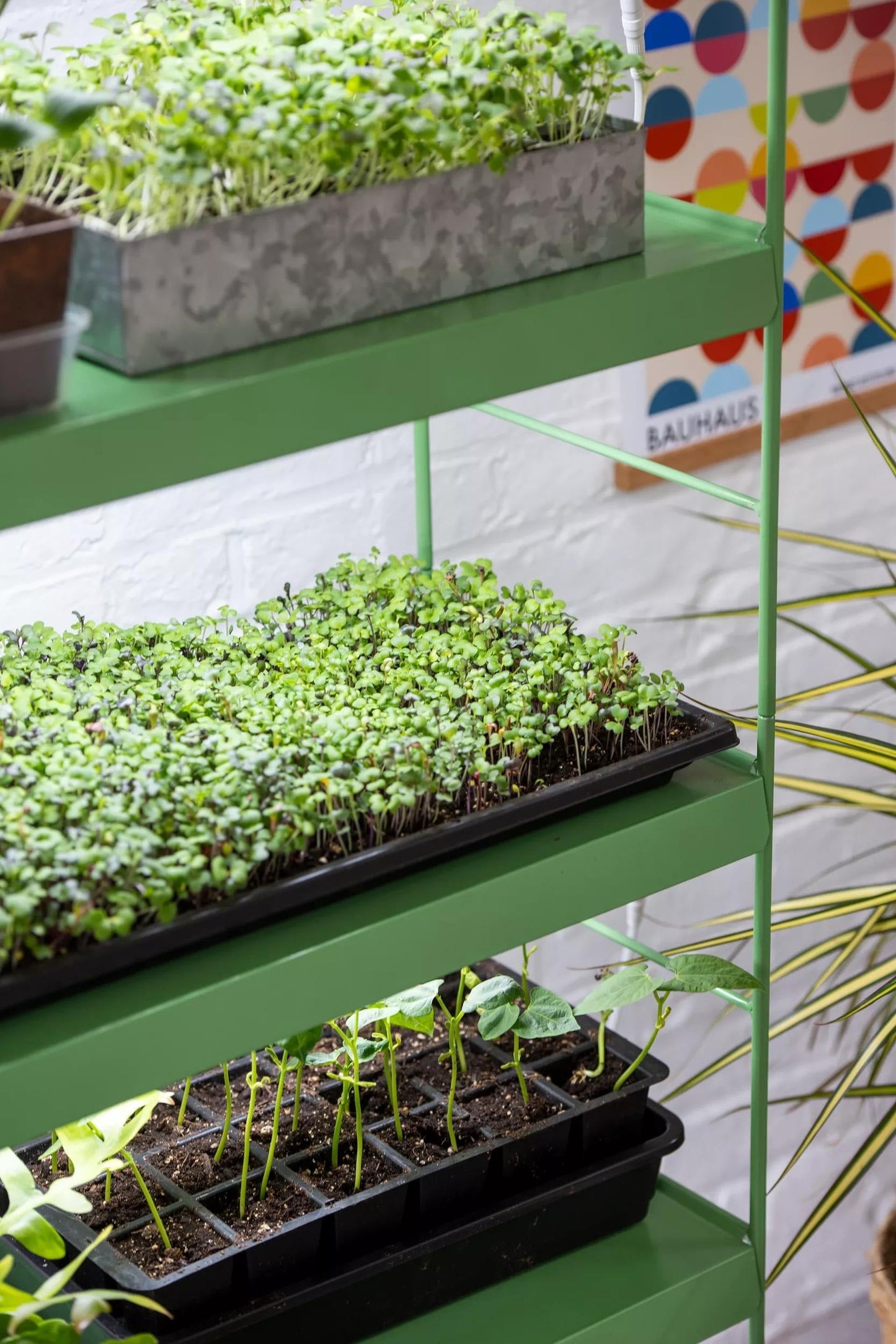 AgieTM LED Light Garden