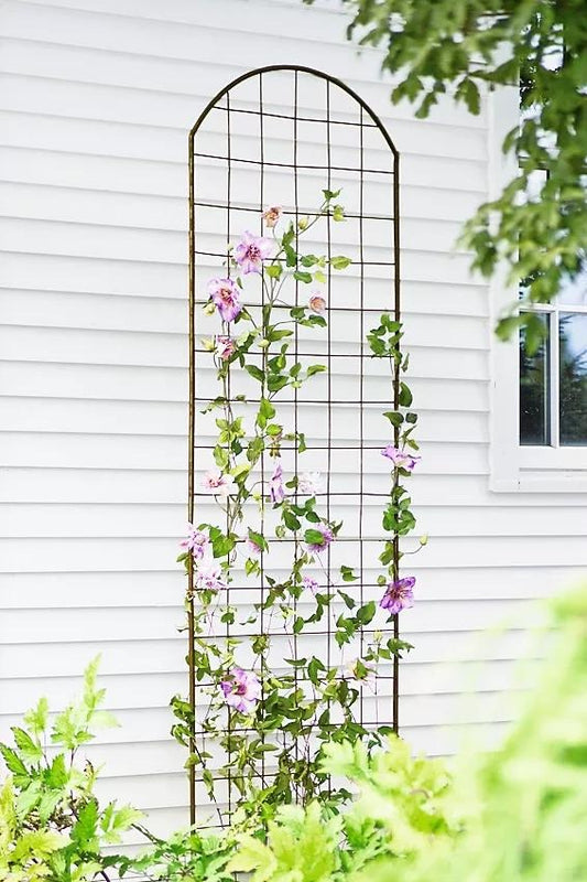 JardinTM Flower Trellis
