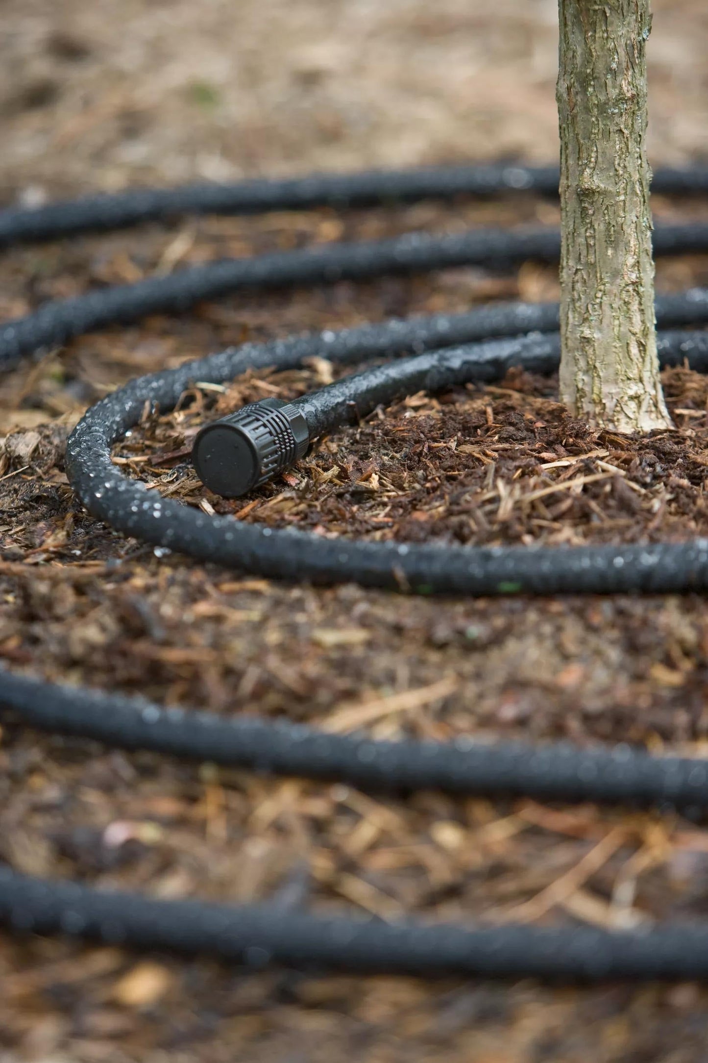 Snip-n-DripTM Soaker Hose System