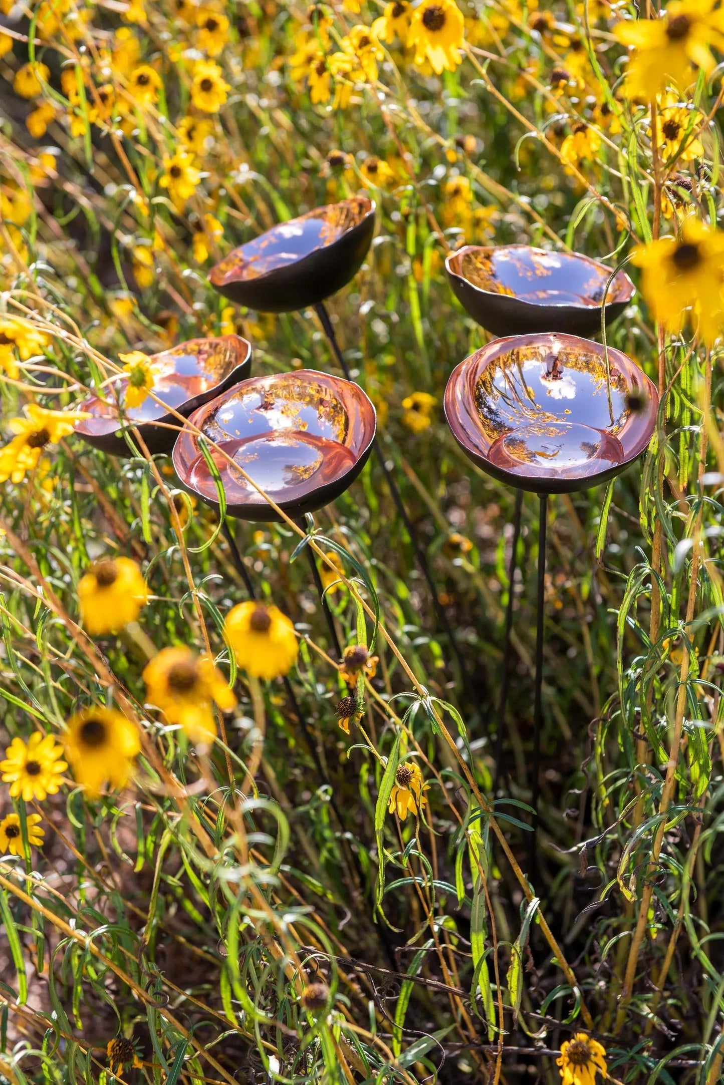 Copper Poppy Sways, Set of 5