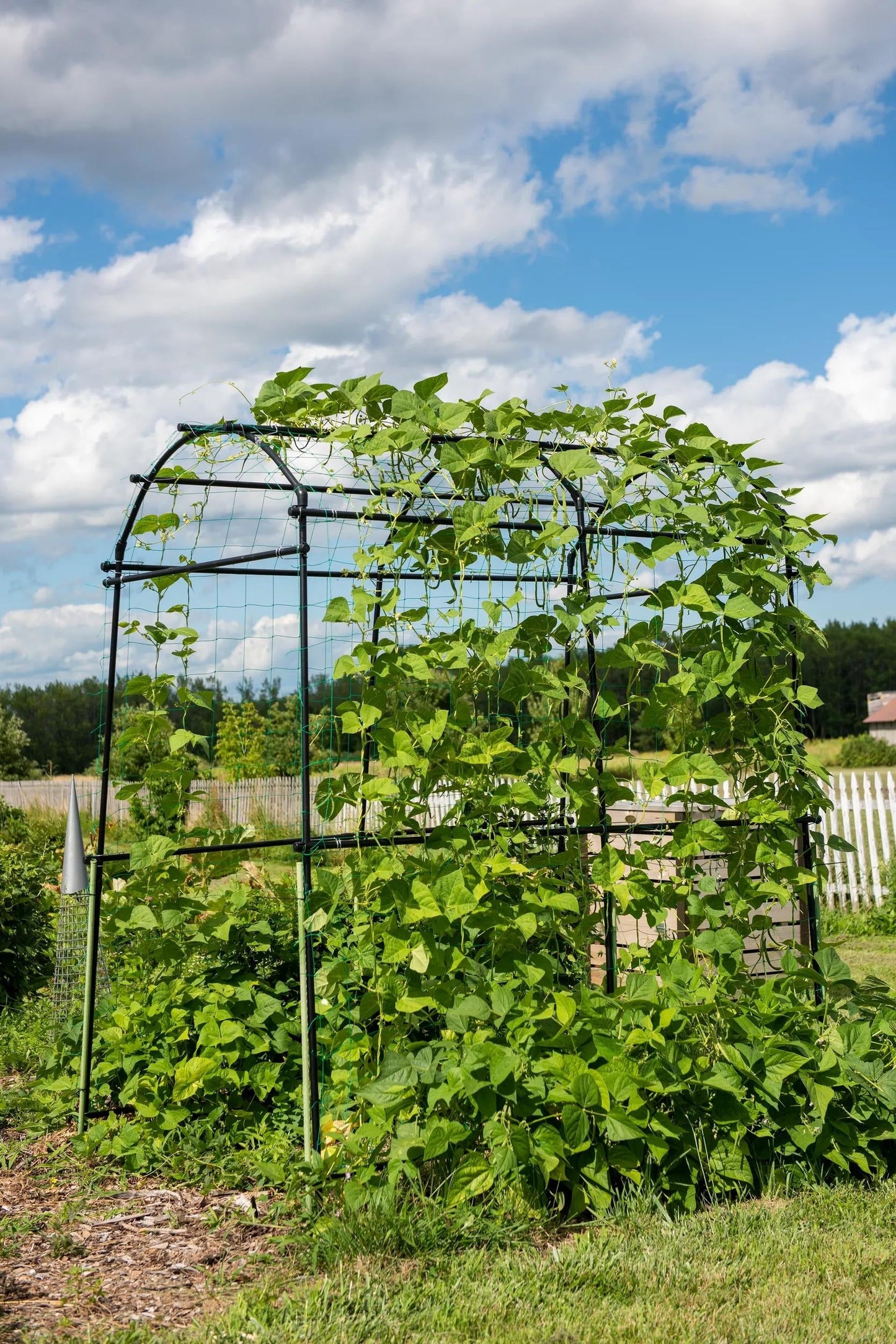 TitanTM Squash Tunnel