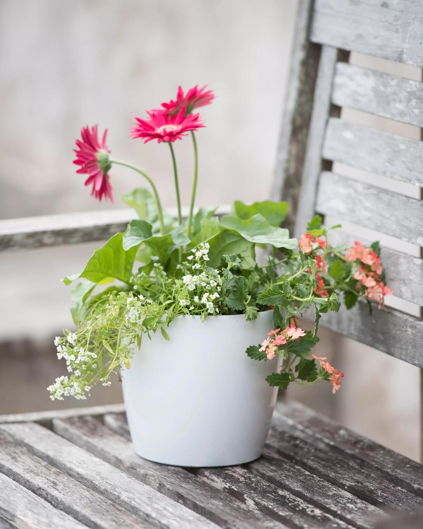 VivaTM Round Self-Watering Planter, 7" Diameter