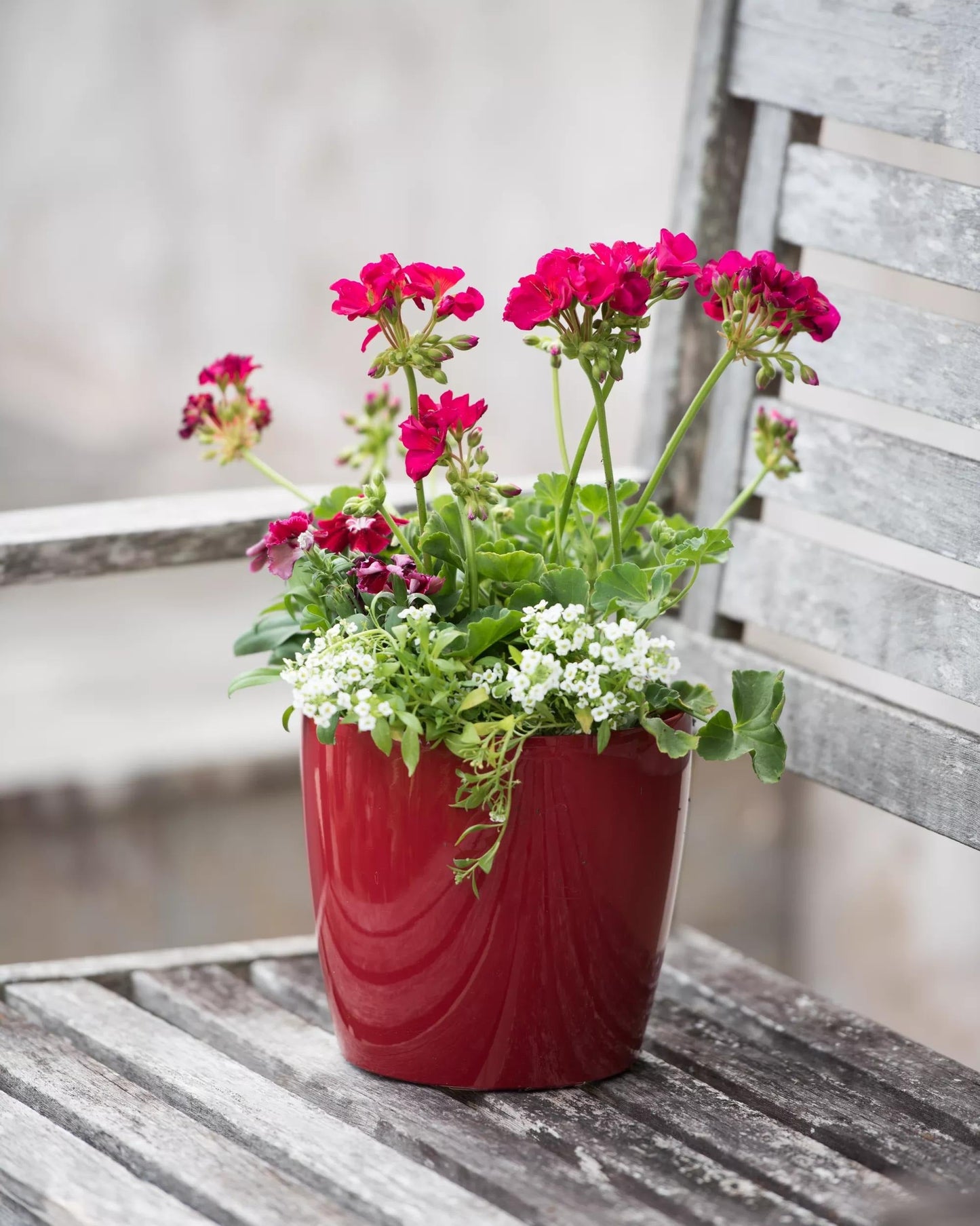 VivaTM Round Self-Watering Planter, 7" Diameter