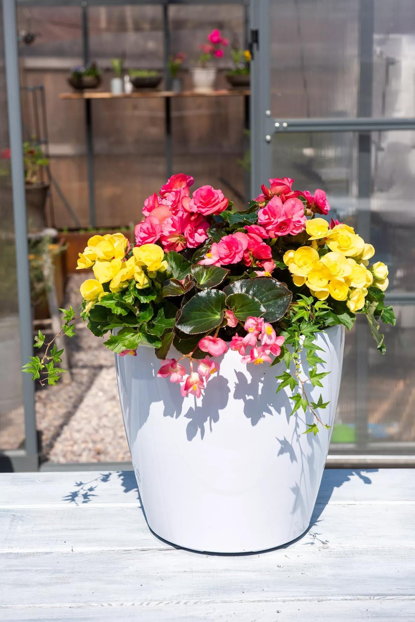 VivaTM Round Self-Watering Rolling Planter, 14" Diameter