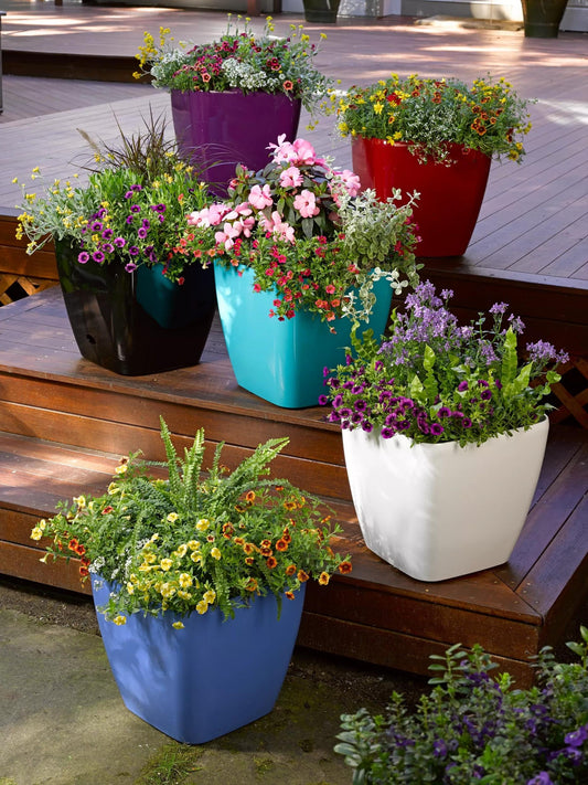VivaTM Square Self-Watering Rolling Planter, 14" Diameter