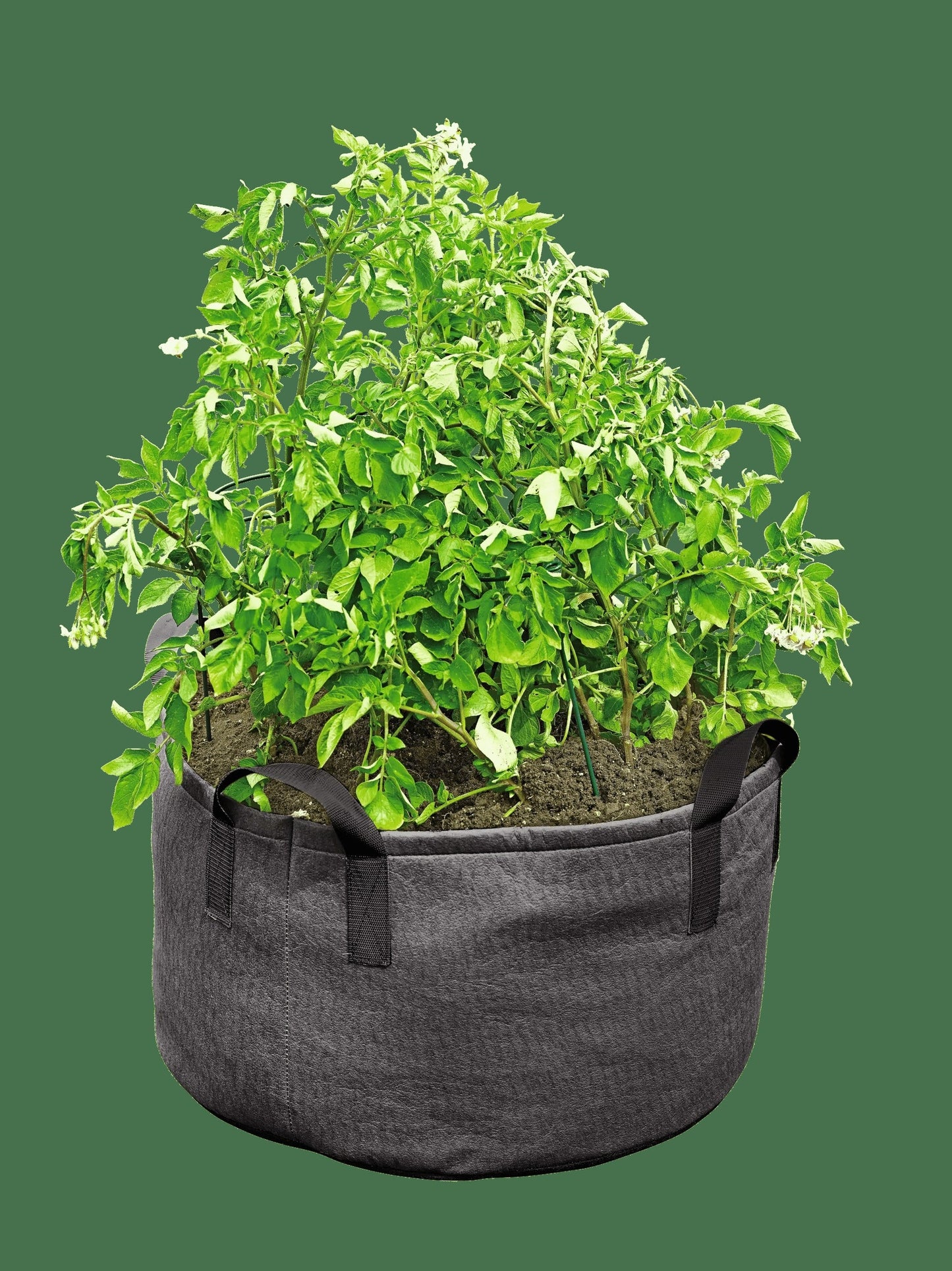 Gardener's Best® Jumbo Potato Grow Bag