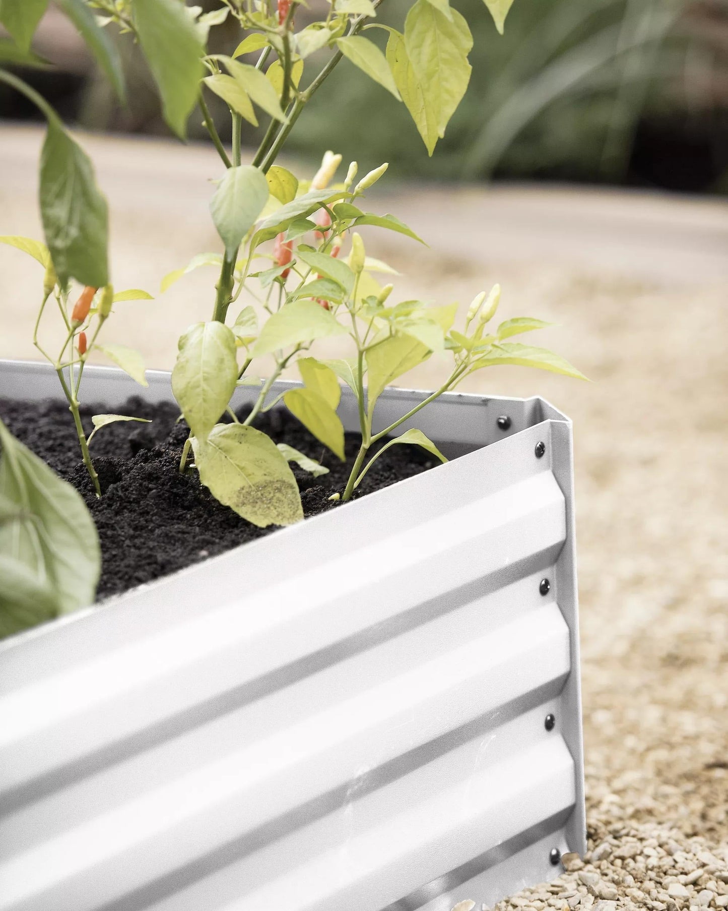 DemeterTM Corrugated Metal Raised Bed, 34" x 68" (12" D)