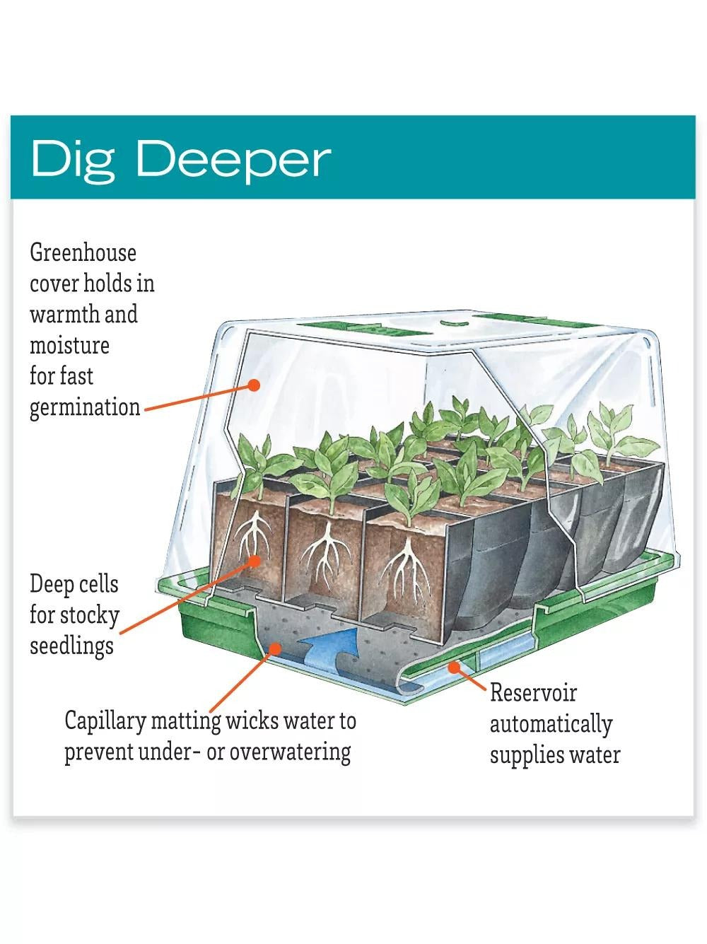 Deep Root Seedstarting System, Black