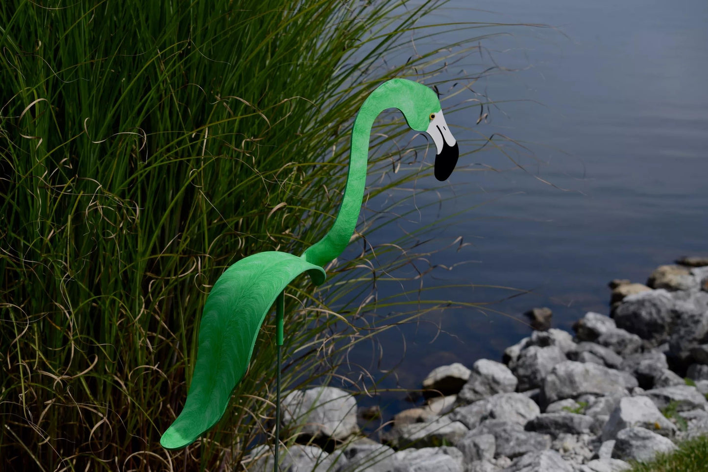 Florida Dancing Birds®, Flamingos