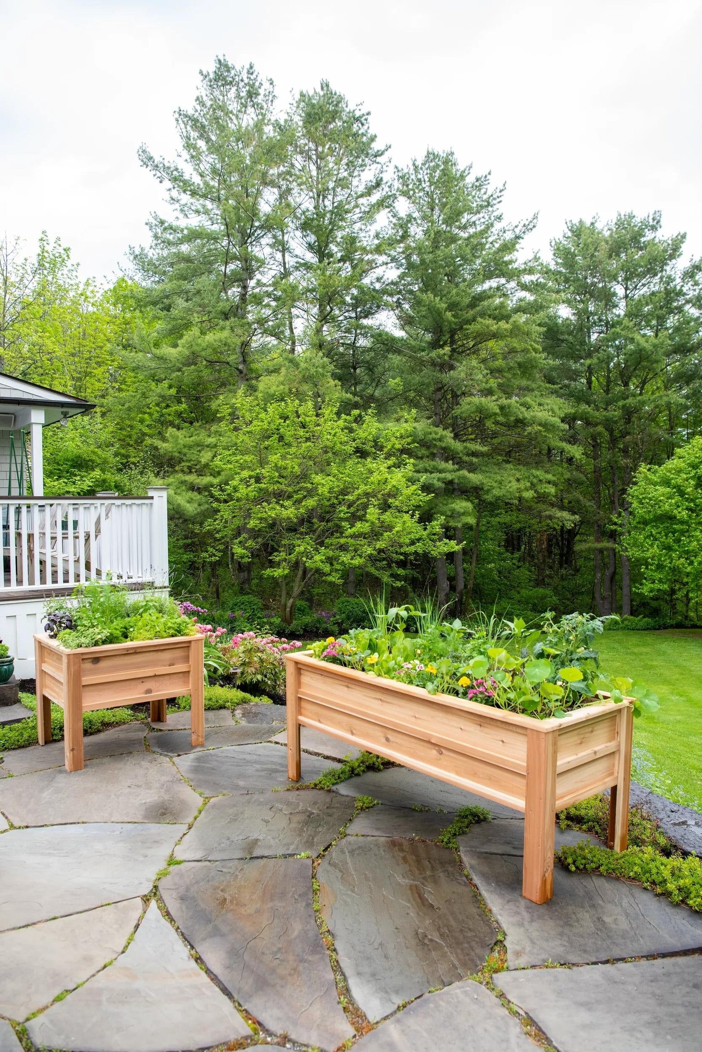 CraftsburyTM Elevated Raised Beds