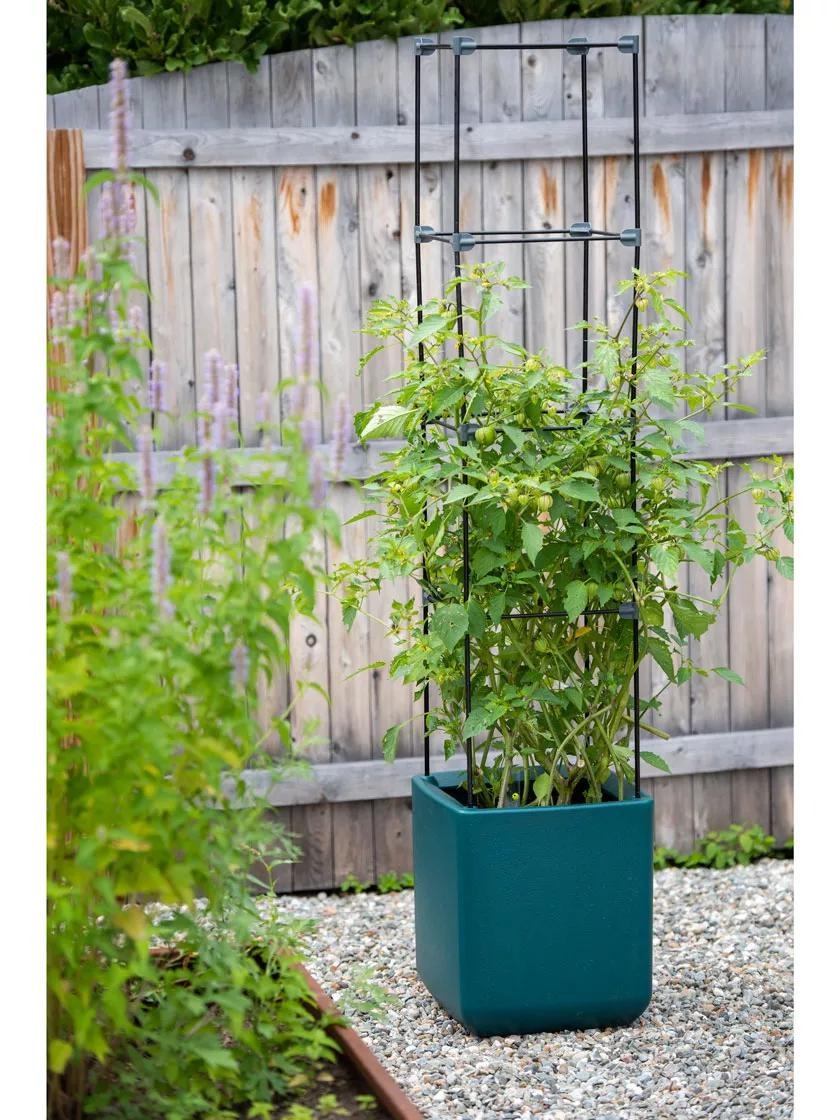 OasisTM Self-Watering Tomato Planter With Trellis