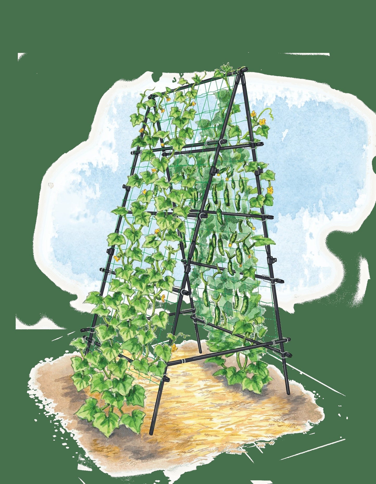 TitanTM A-Frame Trellis