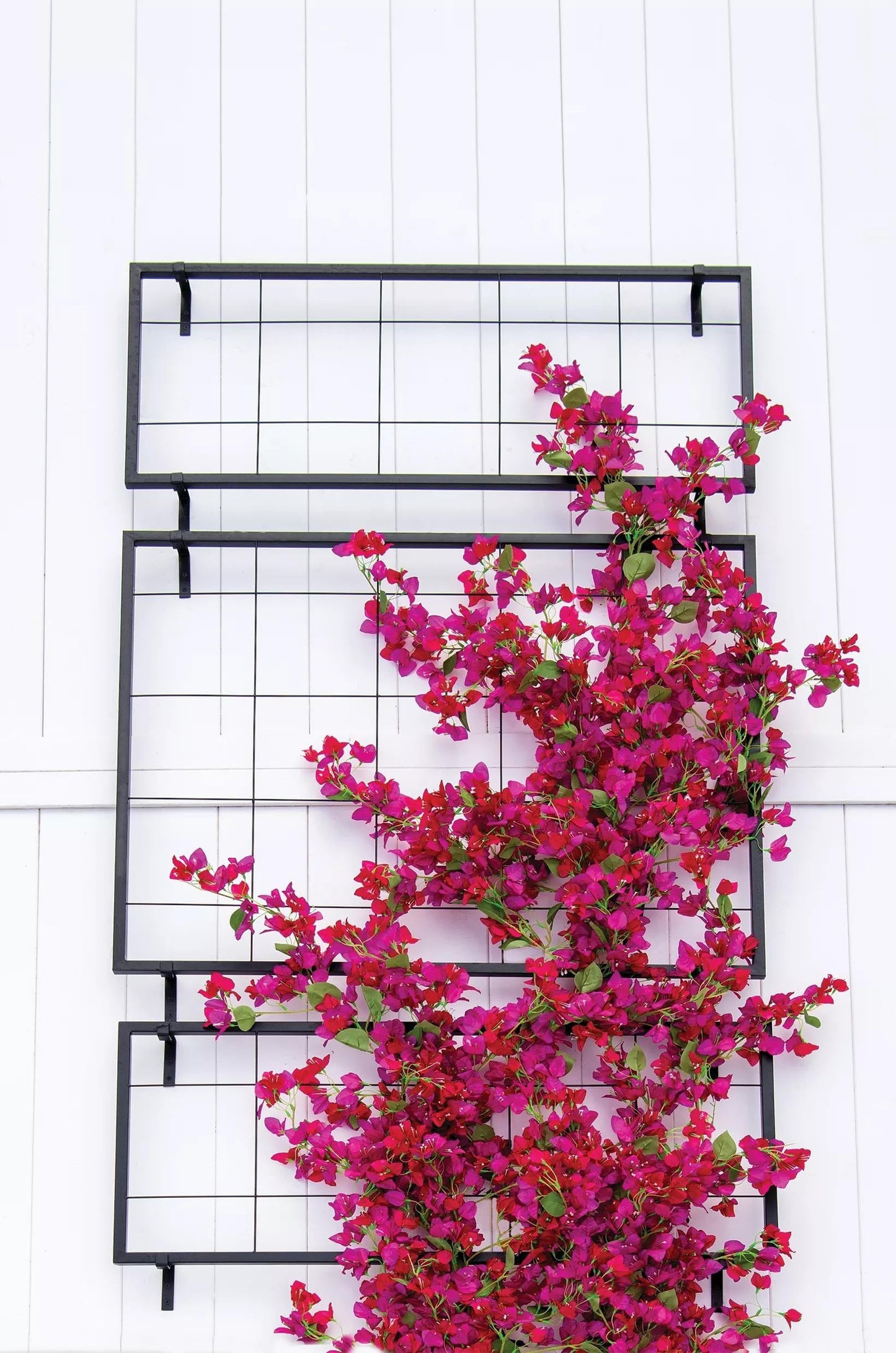 Exeter Wall Trellis