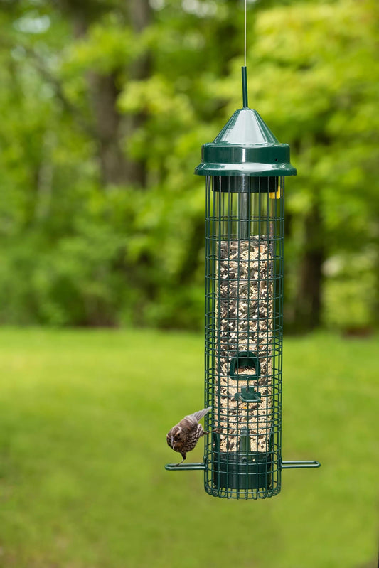 Brome® Squirrel BusterTMClassic Bird Feeder