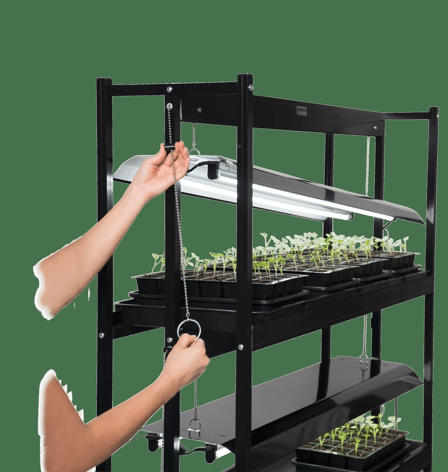 LED SunLite® Tabletop Garden