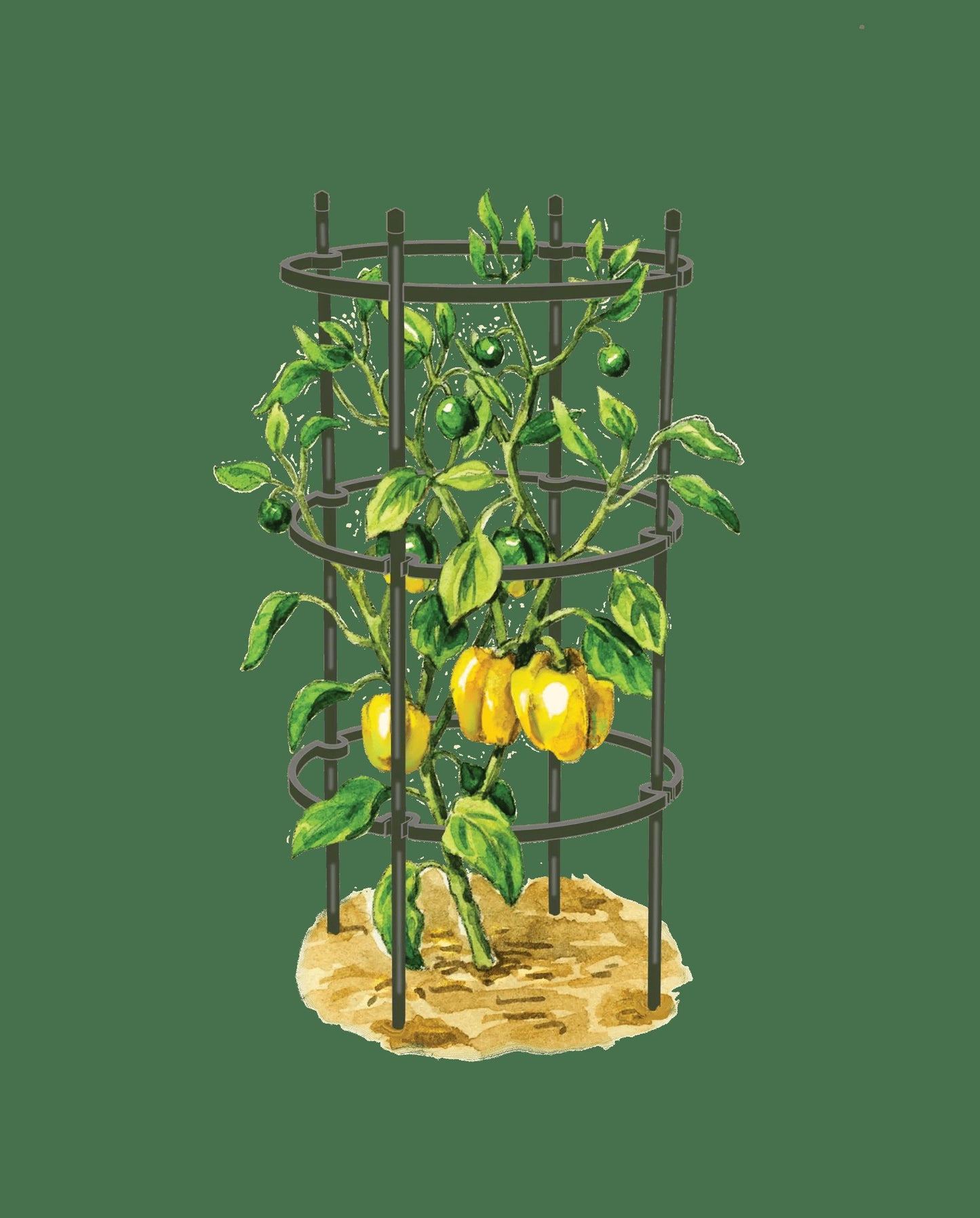 TitanTM Pepper Eggplant Cages, Set of 3