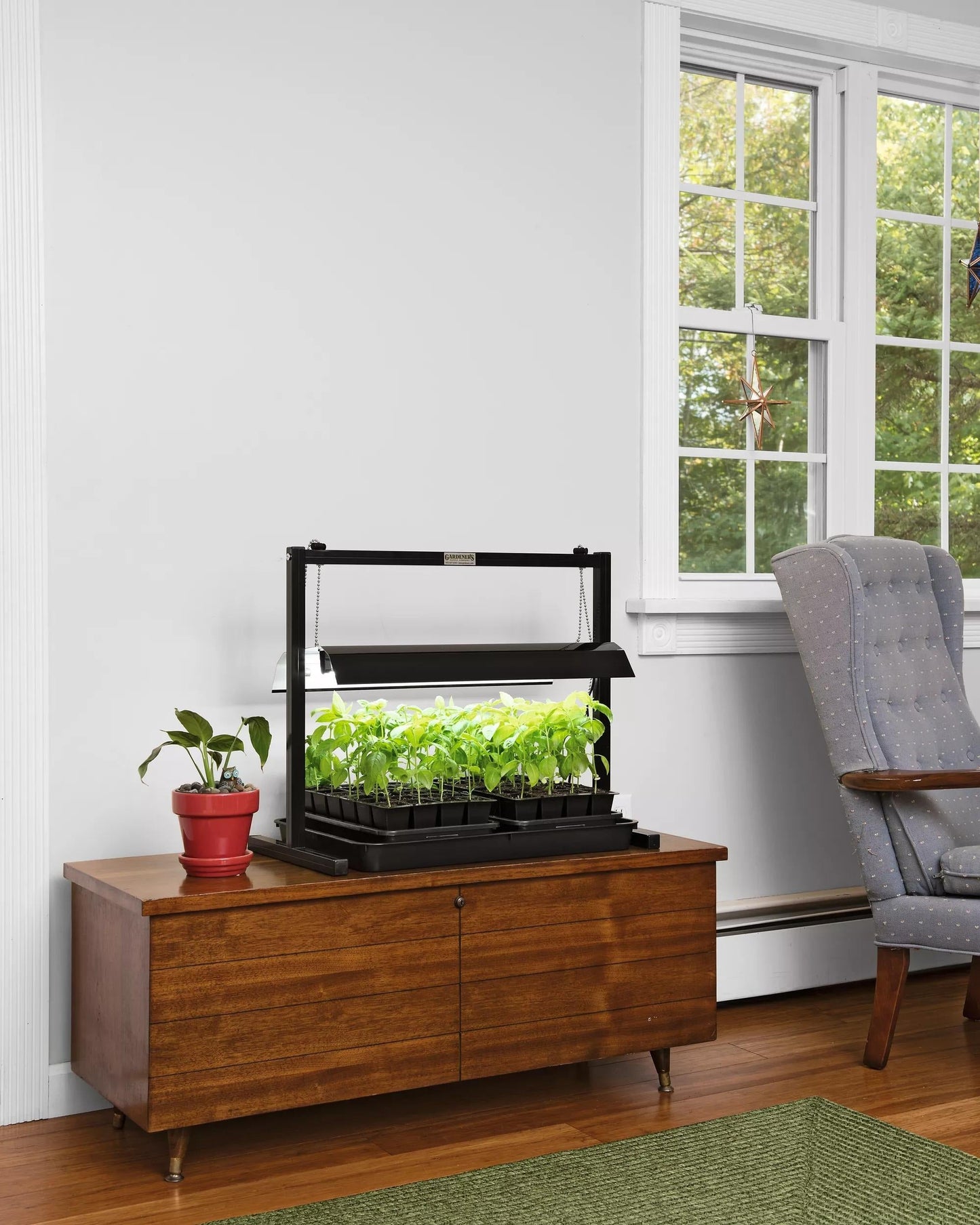 LED SunLite® Compact Tabletop Garden