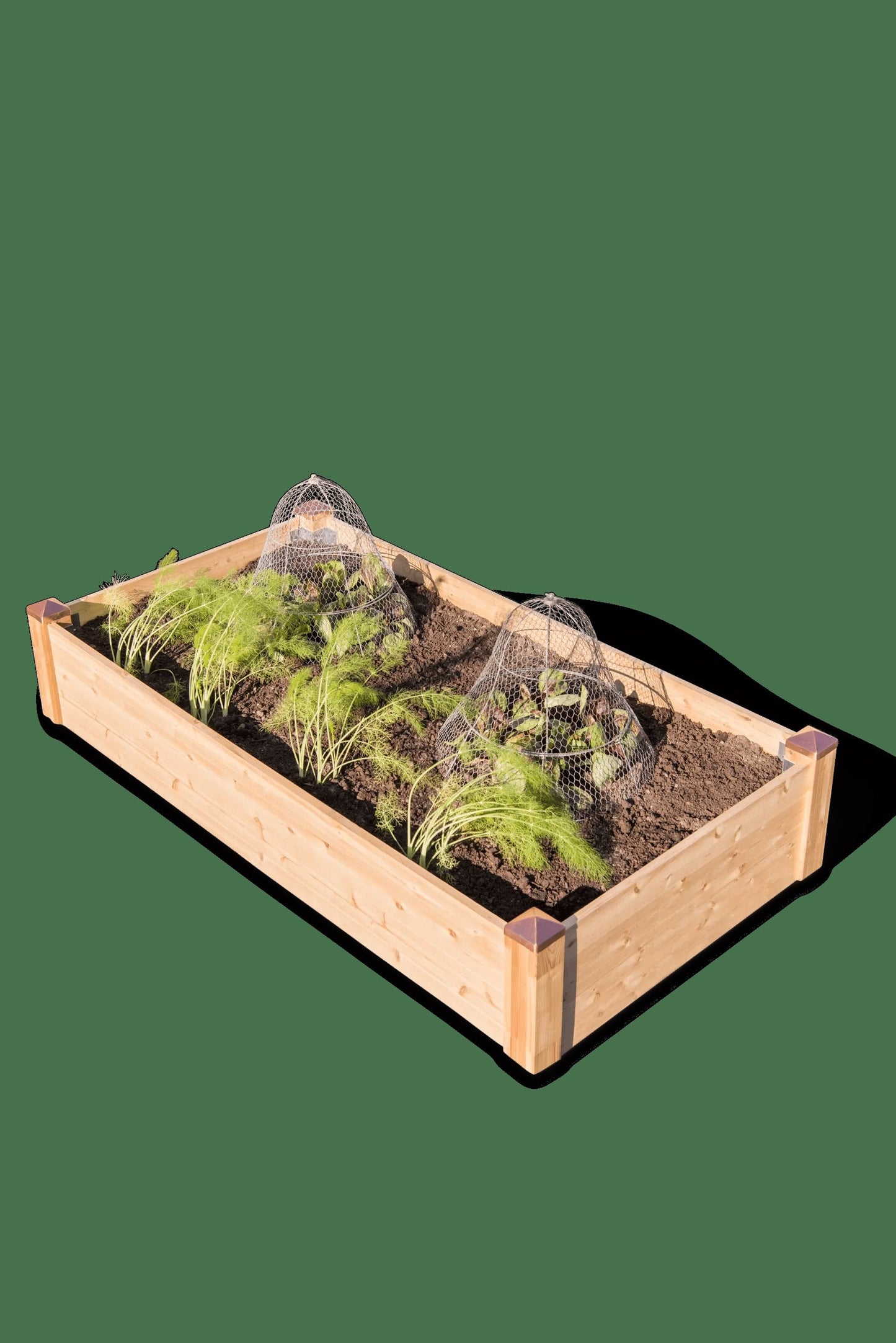 Copper Cap Raised Beds (14" D)