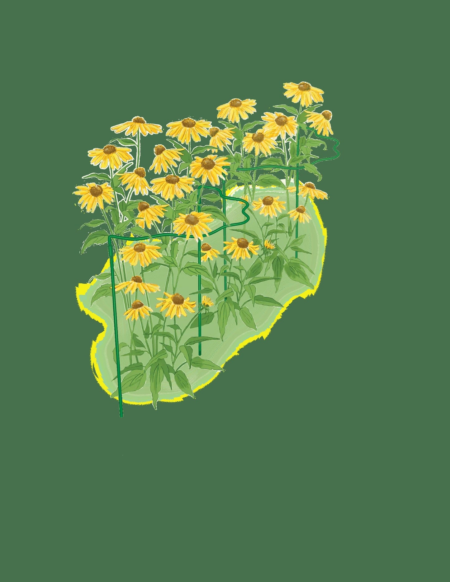 Scalloped Plant Supports, Set of 2