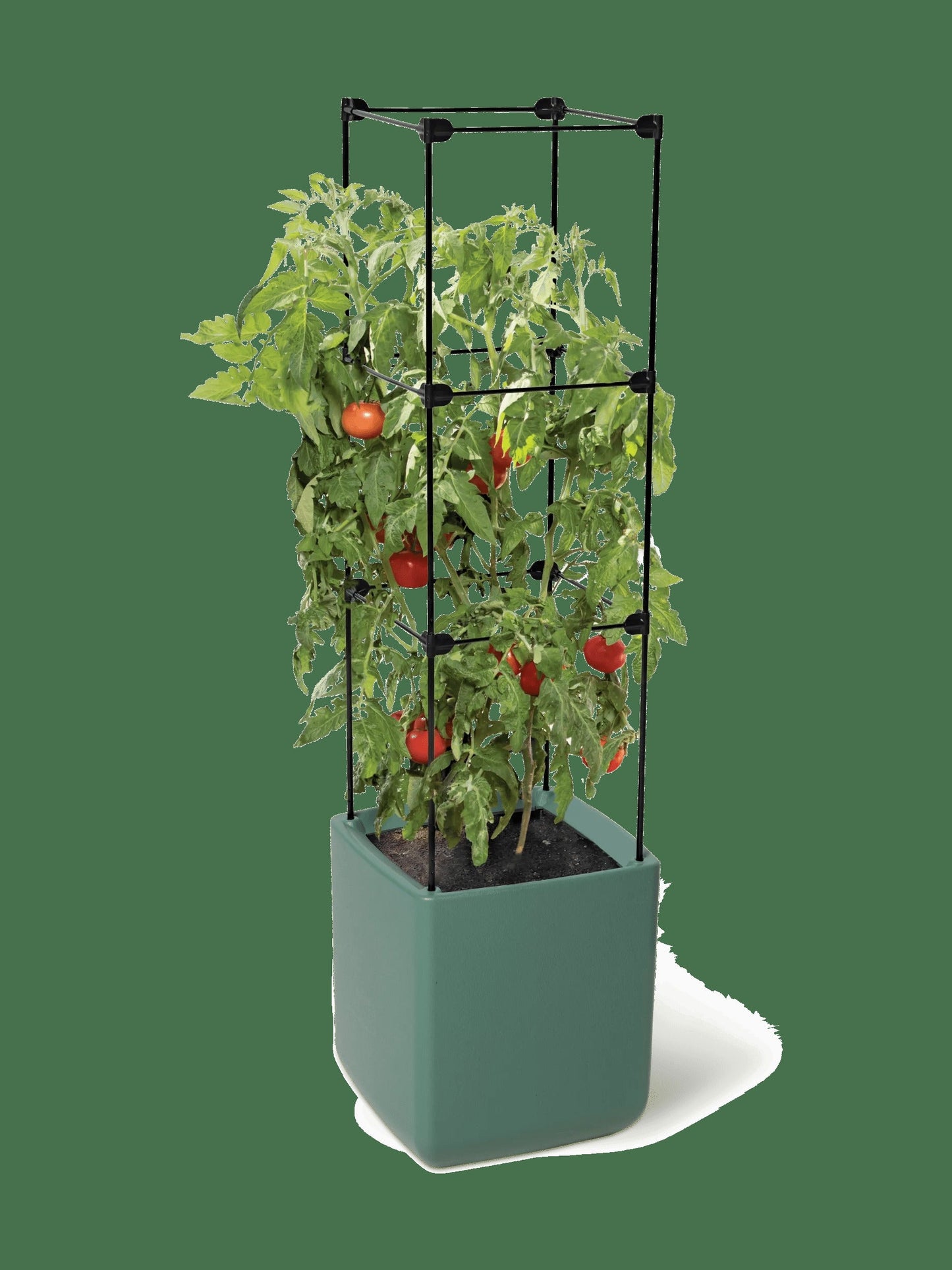 OasisTM Self-Watering Tomato Planter With Trellis