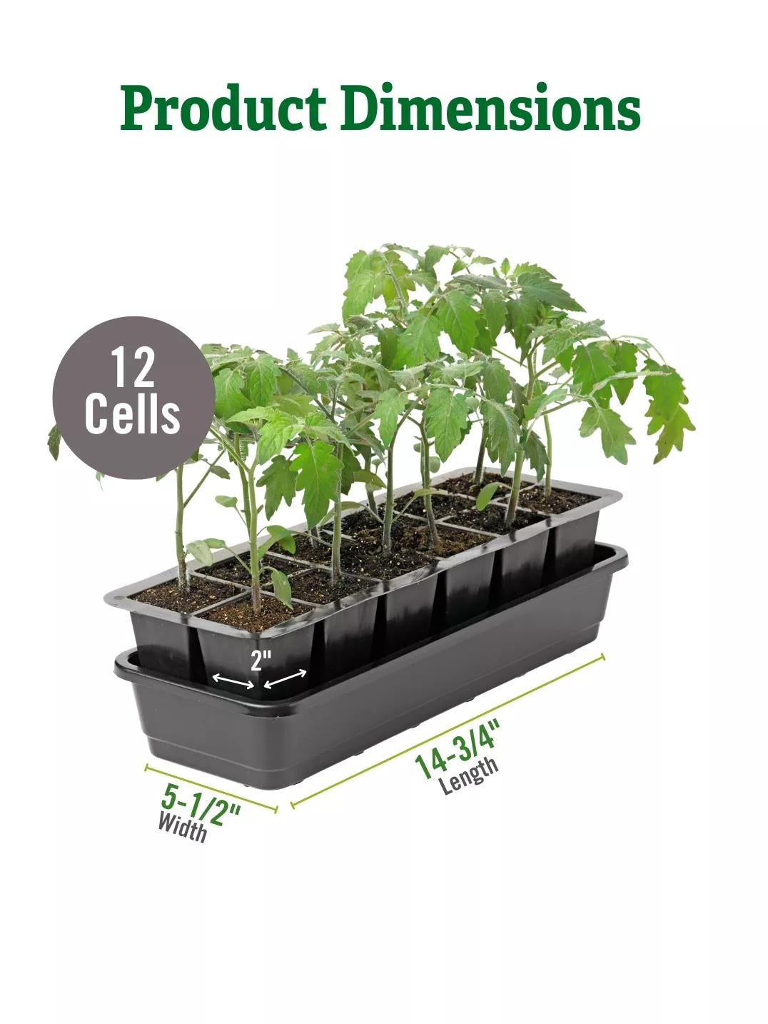 GrowEaseTM Seed Starter Kit