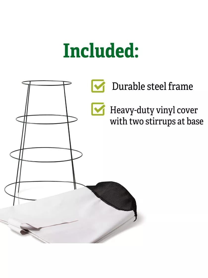 Rosy Cozy® Rose Cone, Large