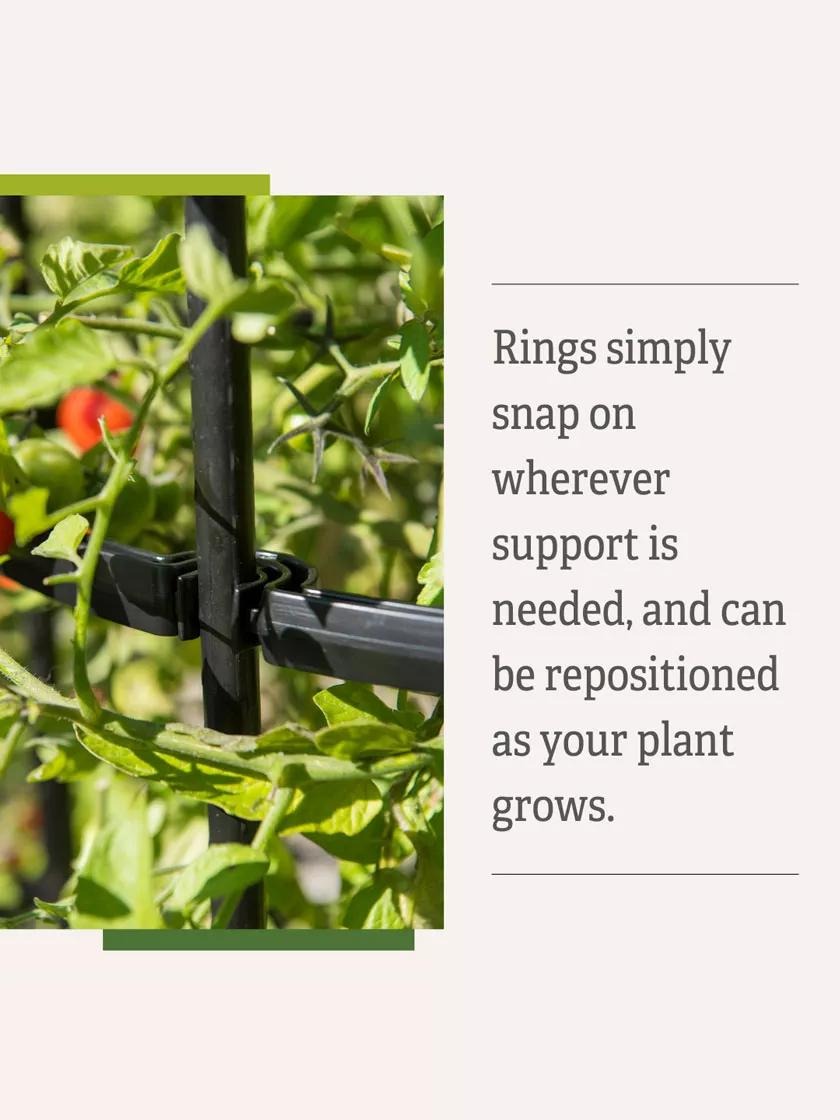 TitanTM Tall Tomato Cages, Set of 3