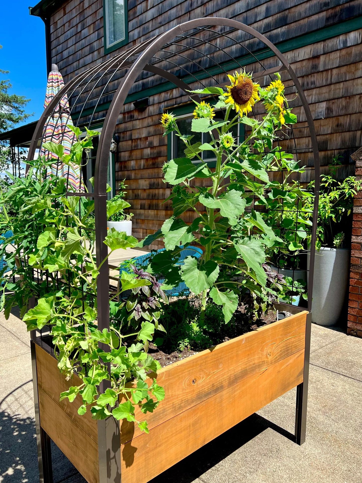 Self-Watering Elevated Cedar Planter Box, 2' x 4'