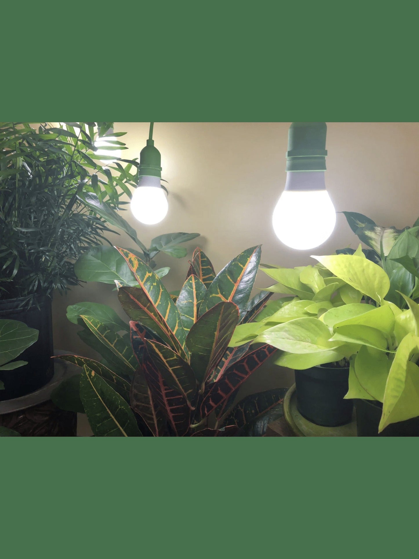 Miracle LED Daylight Full Spectrum LED Grow Light Bulb