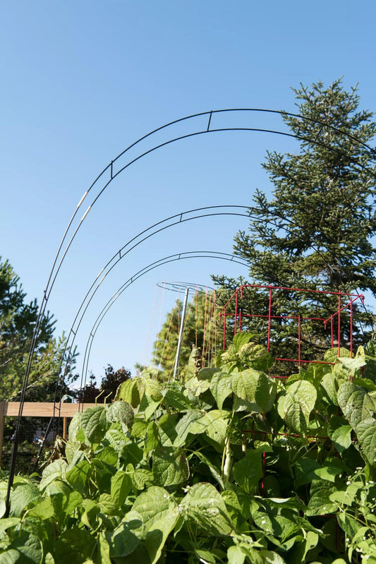Adjustable Super HoopsTM, Set of 3
