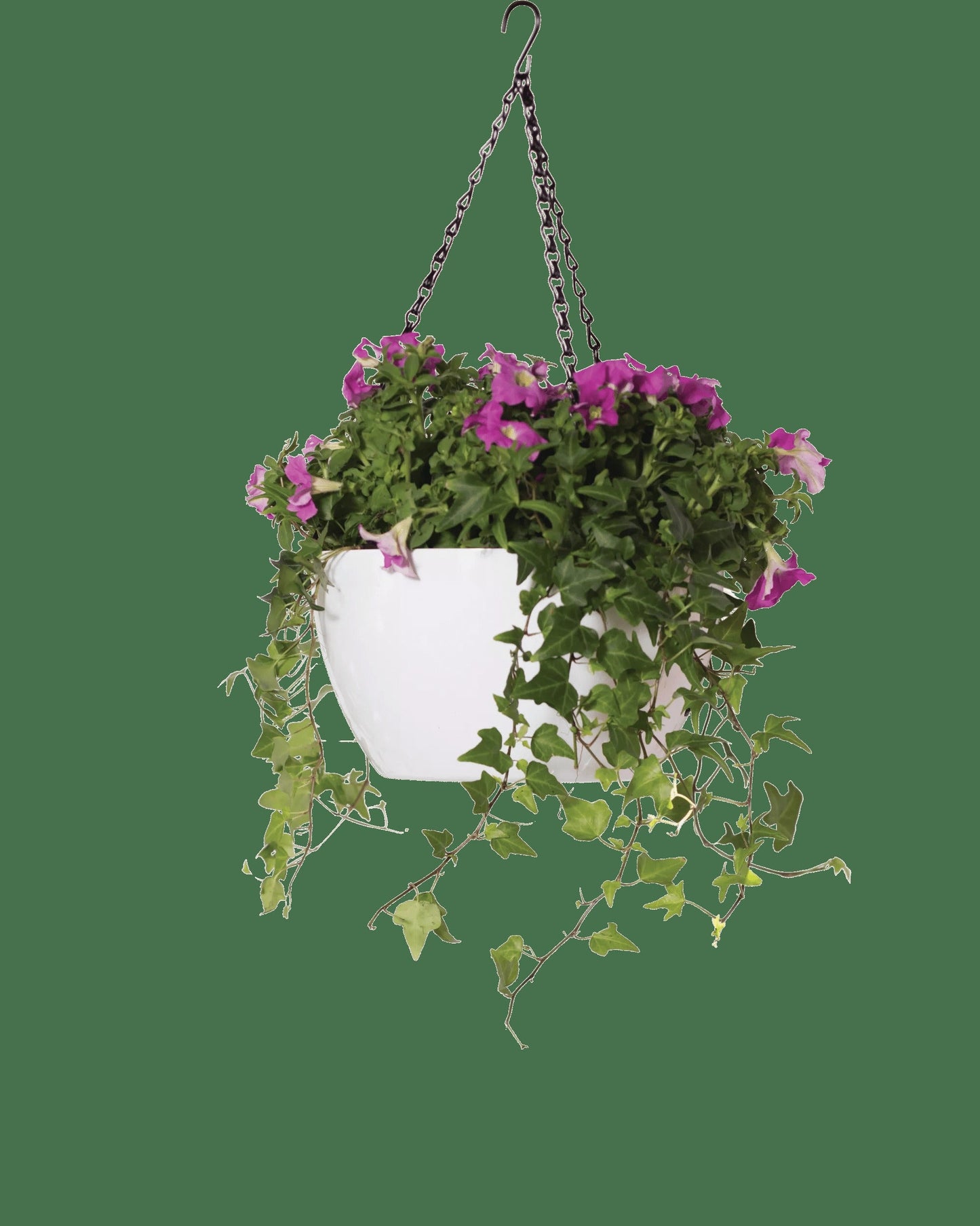 VivaTM Self-Watering Hanging Basket, 11" Diameter