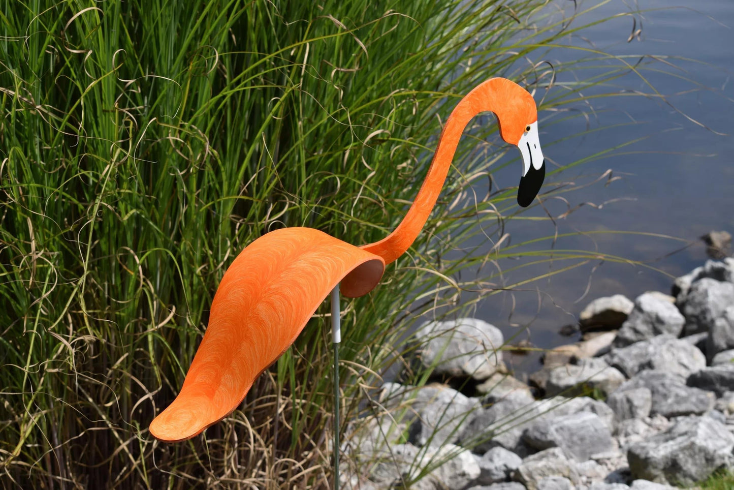 Florida Dancing Birds®, Flamingos