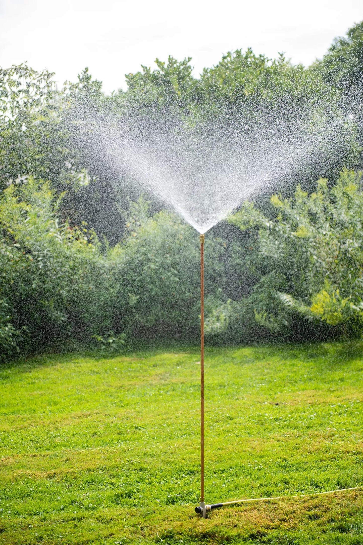 Hi-Rise LifetimeTM Sprinkler